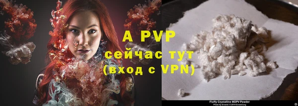 эйфоретик Аркадак