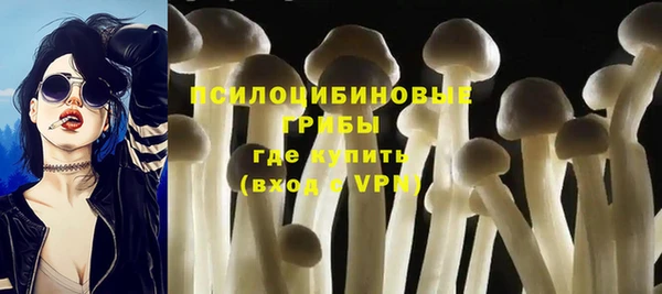 стафф Армянск