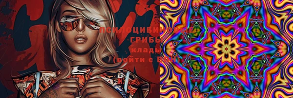эйфоретик Аркадак