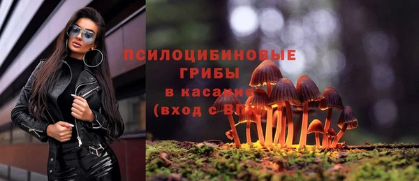 стафф Армянск