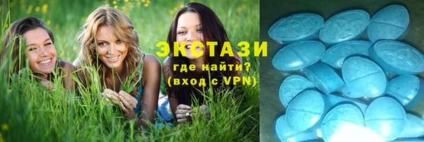 эйфоретик Аркадак