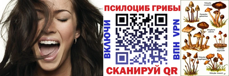 наркошоп  Новоалександровск  Псилоцибиновые грибы Psilocybine cubensis 