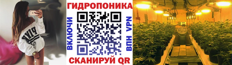 даркнет официальный сайт  Новоалександровск  Каннабис OG Kush 